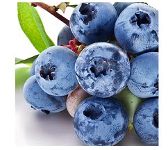 凯安尼——来自天然水果的守护力量