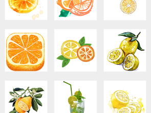 手绘水彩水果海报素材 橙子柠檬的味觉艺术
